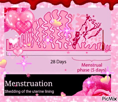 period sex gif|Menstruation Porn GIFs 